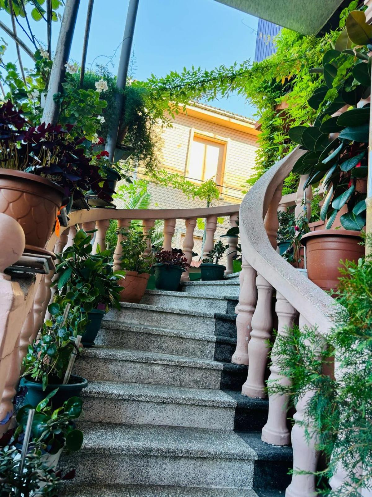 Nikas Guest House Batumi Esterno foto